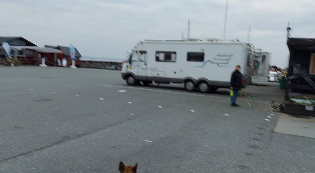 Lokals Havn — Photo 5