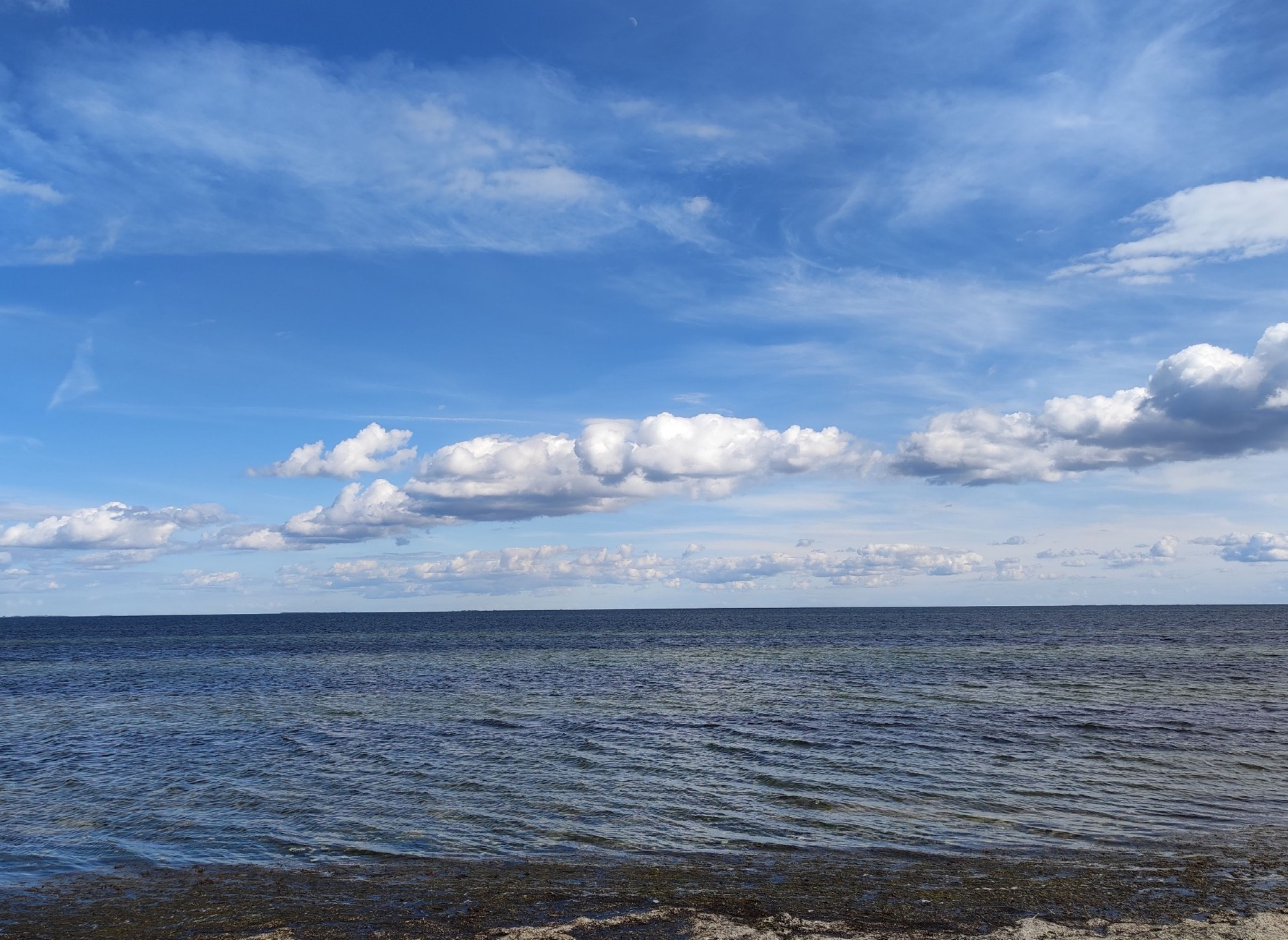 Bisserup Havn — Photo 4