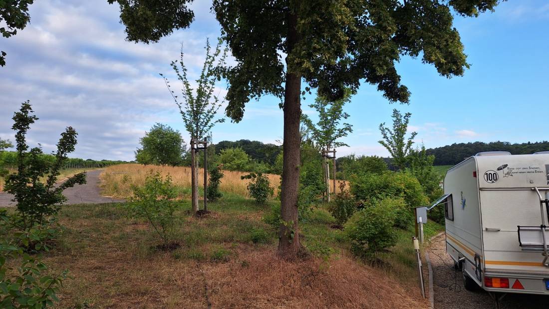 Wohnmobil und Wohnwagenstellplatz Heuhölzle — Photo 4