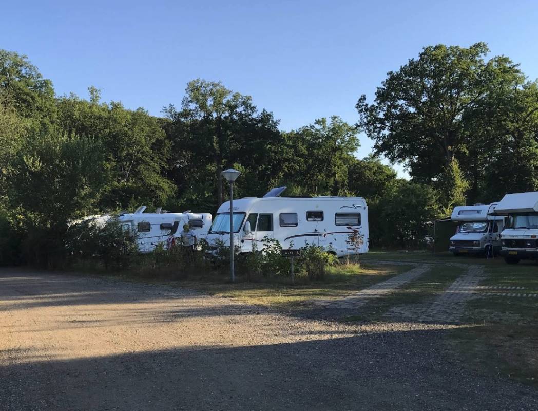 Vakantiepark De Waldsang — Photo 5