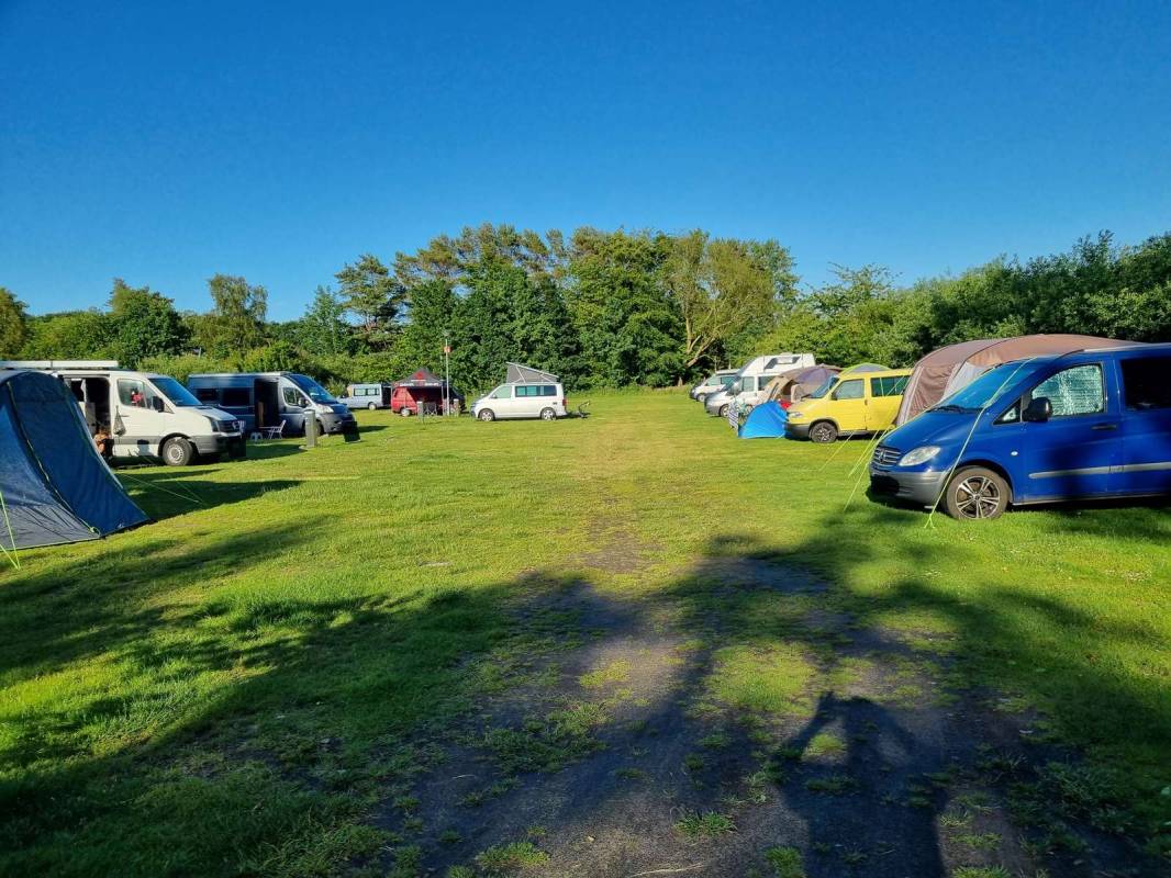 Naturdüne Zingst — Photo 4