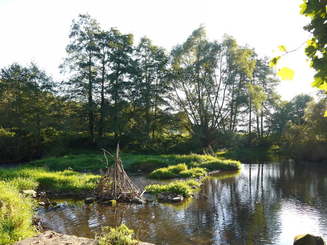 Campingplatz Trendelburg — Photo 2