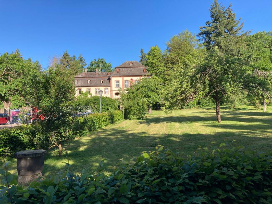 Stellplatz Muschenheim — Photo 3