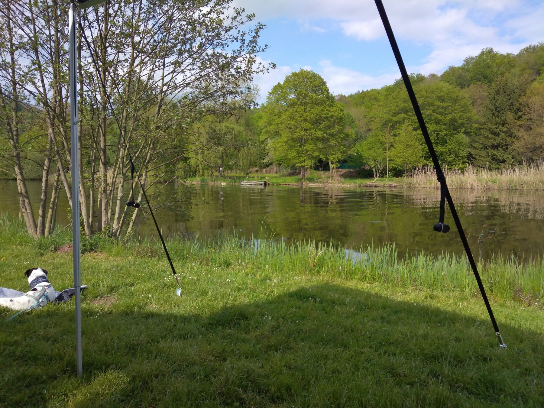 Spiegelburg Camping und Gasthaus — Camping in Hann. Münden