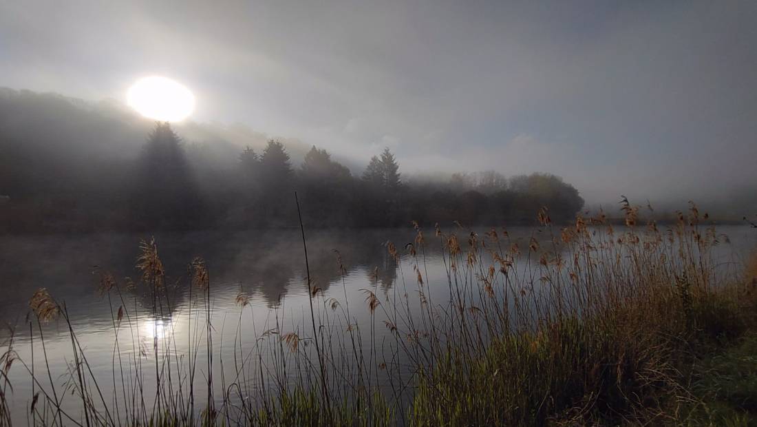 Spiegelburg Camping und Gasthaus — Photo 6