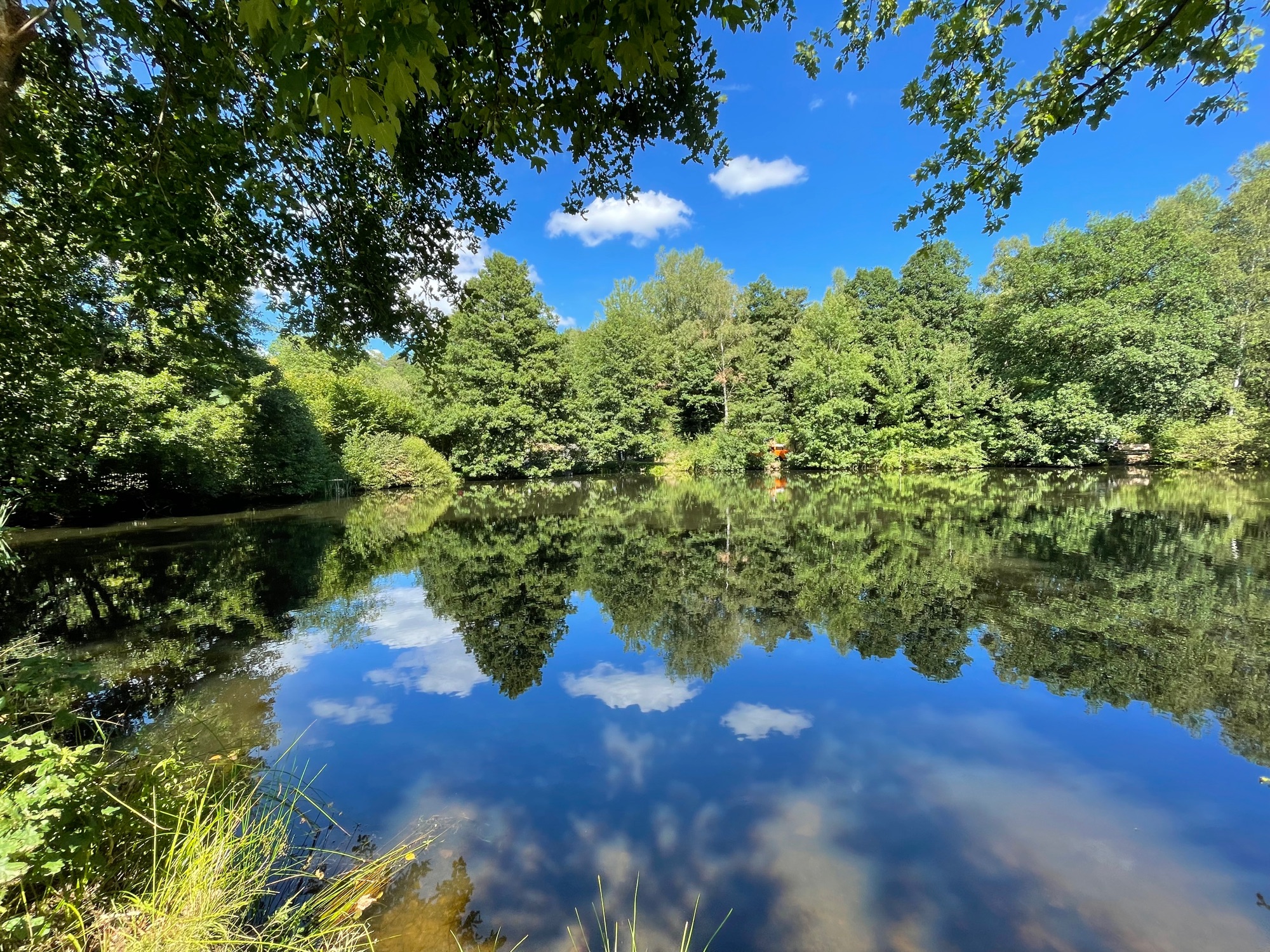 Campingplatz Knüllwald / Wallenstein — Photo 3