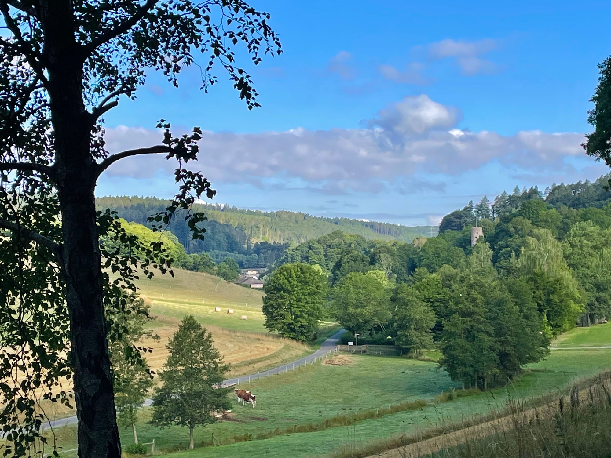 Campingplatz Knüllwald / Wallenstein — Photo 6