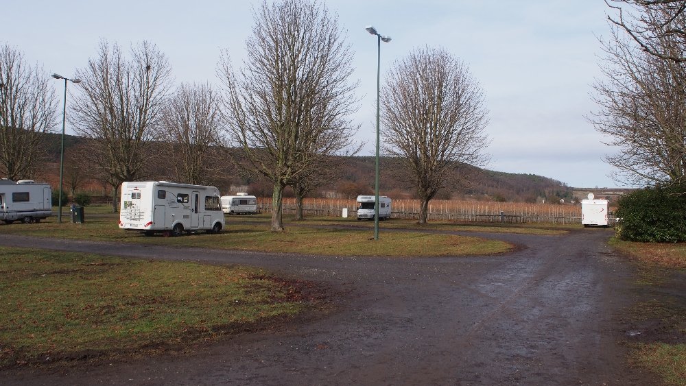 Stellplatz in der Silz Bad Dürkheim — Photo 3