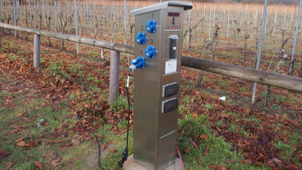 Stellplatz in der Silz Bad Dürkheim — Photo 5