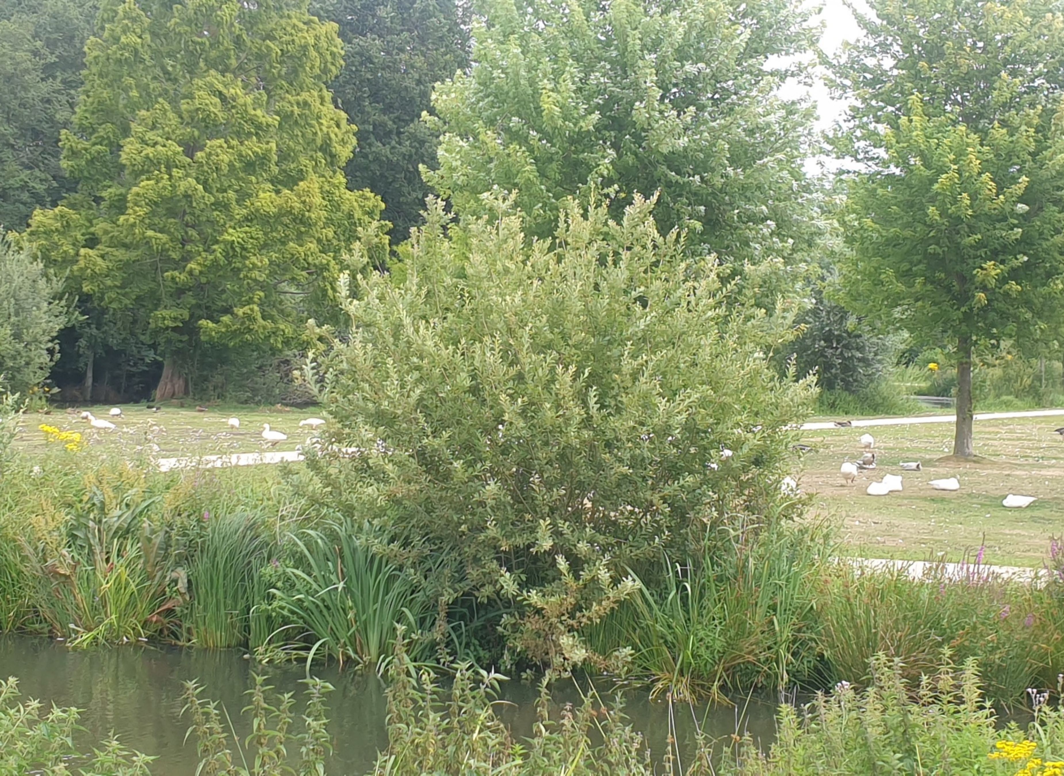 Stellplatz Hardenberg — Photo 3