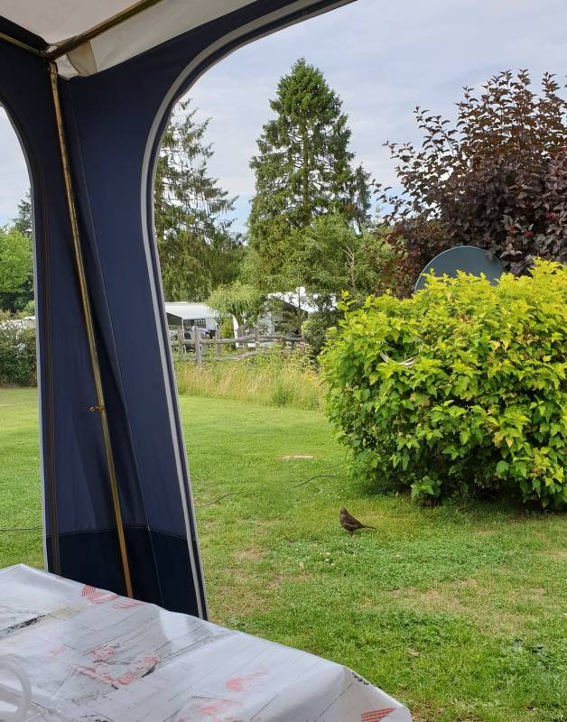 Röders' Park - Premium — Photo 4