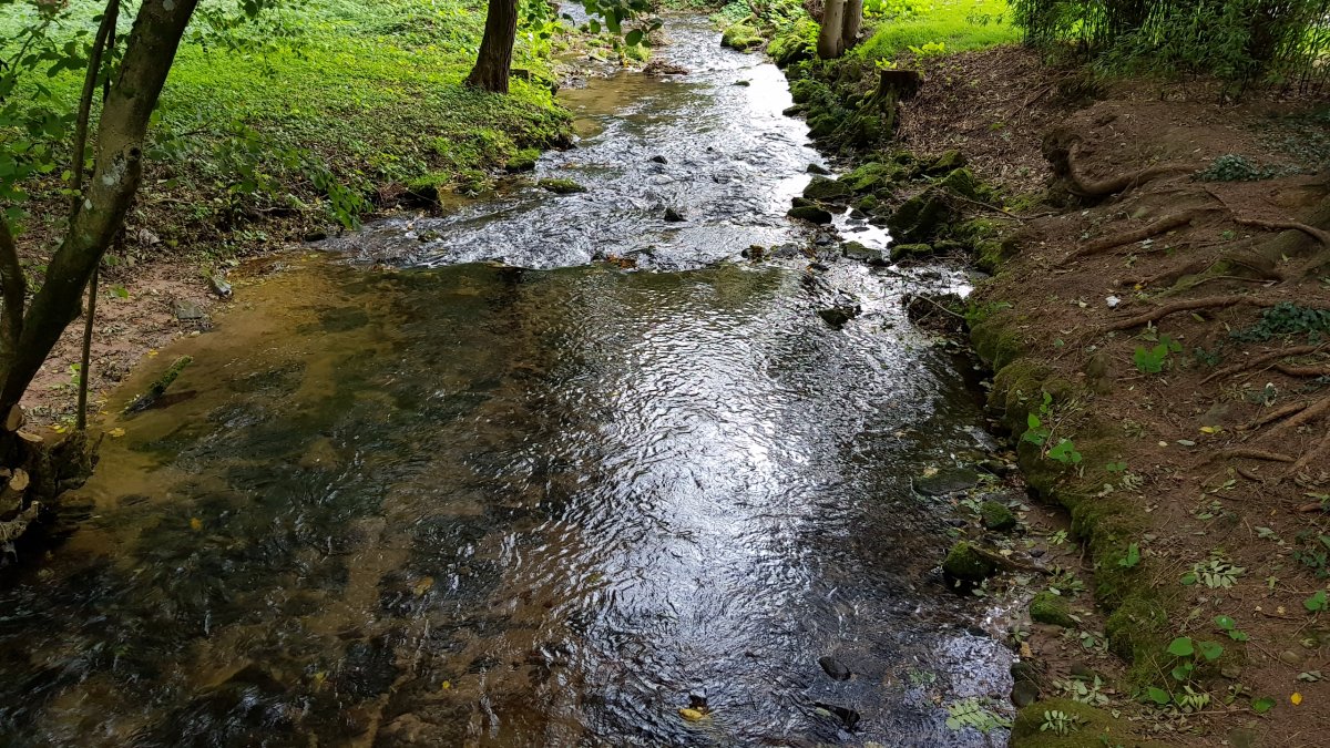 Stellplatz Siebentäler-Therme Bad Herrenalb