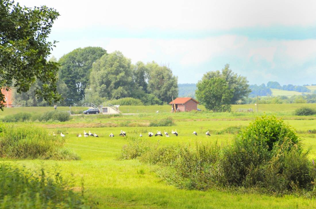 Fähr- und Geschichtsverein Brobergen
