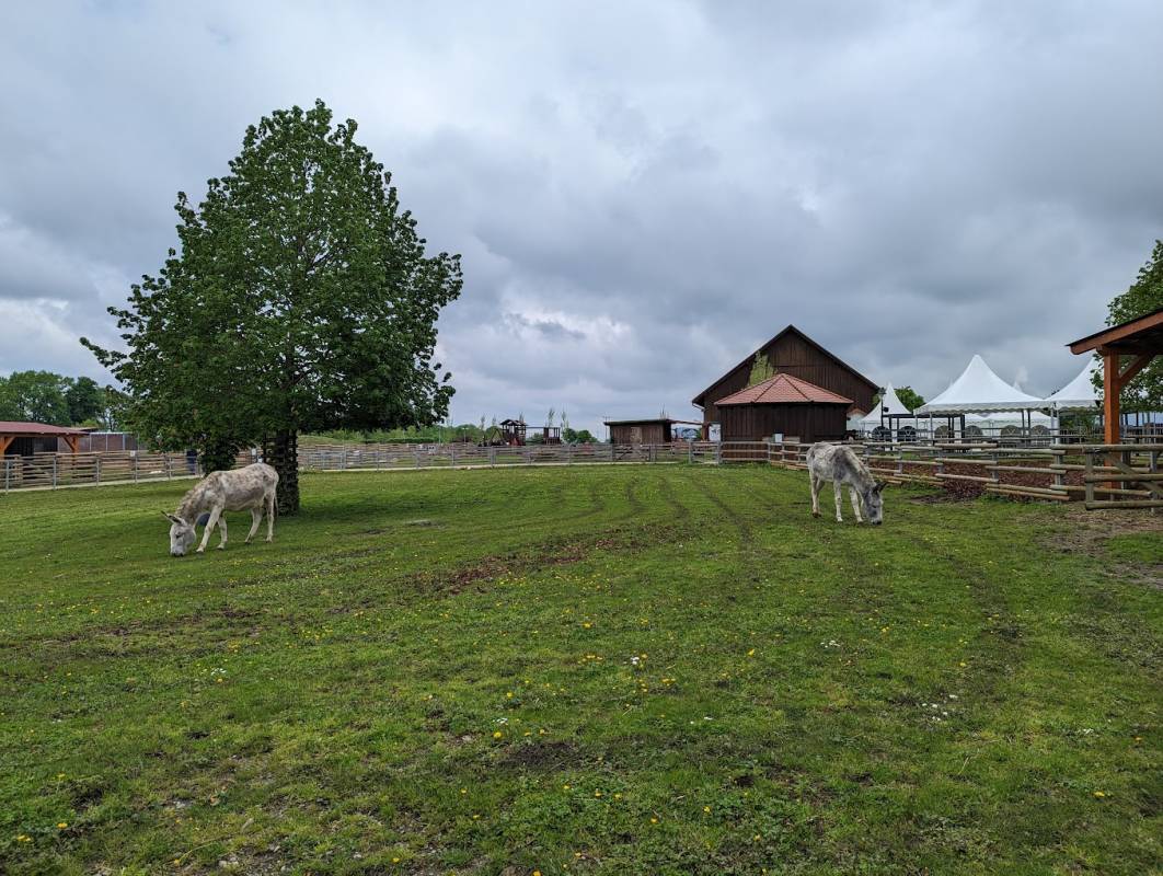 Parkplatz am Hofgut Domäne — Karavanové stání in Hechingen