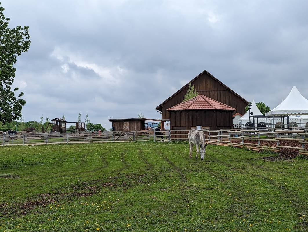 Parkplatz am Hofgut Domäne — Photo 2
