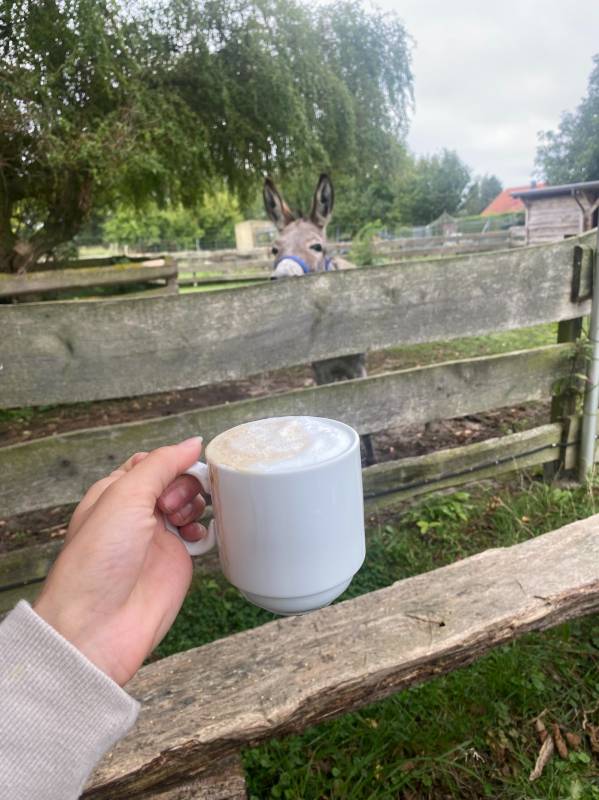 Horse Lake Ranch — Photo 2