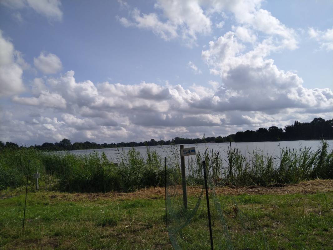 Seecampingplatz BUM — Photo 3