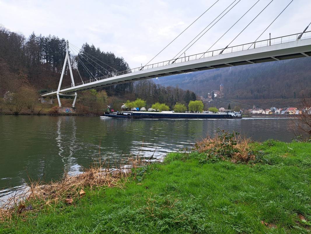 Stellplatz Zwingenberg (max 5 m) — Photo 6