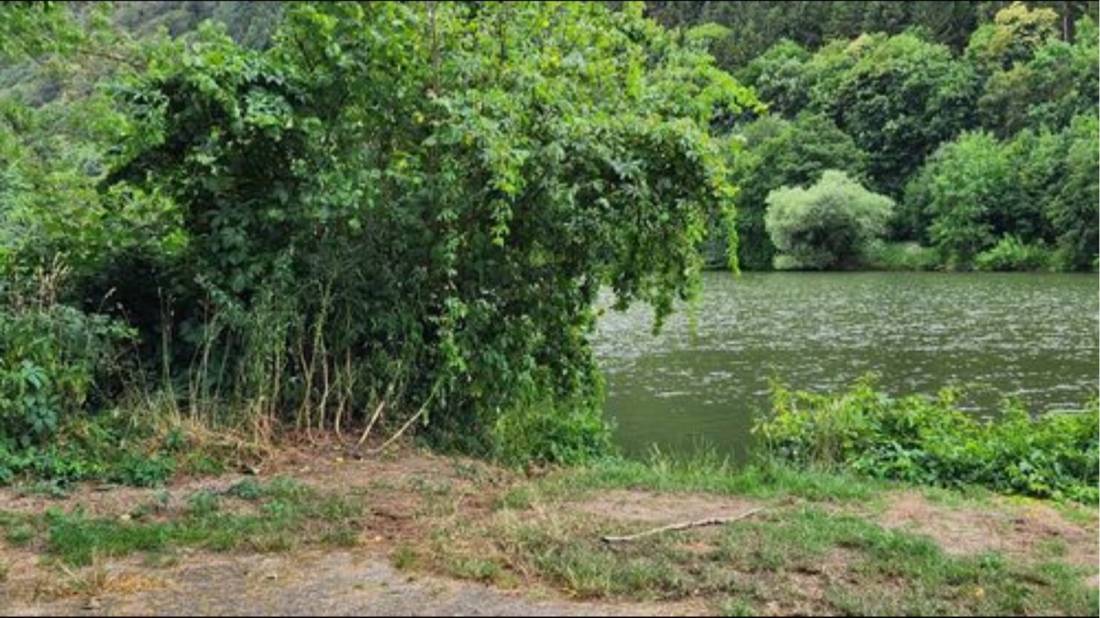 Stellplatz Zwingenberg (max 5 m) — Photo 3