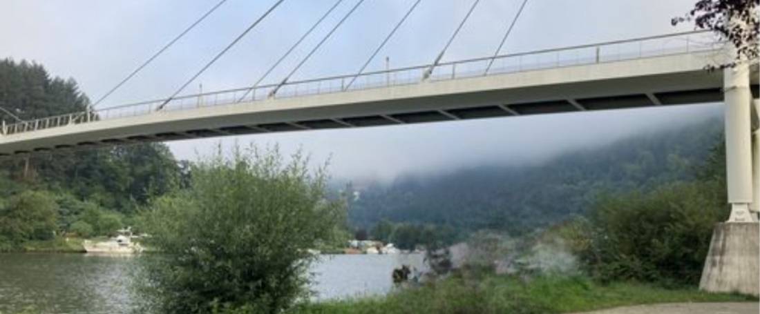 Stellplatz Zwingenberg (max 5 m) — Photo 4