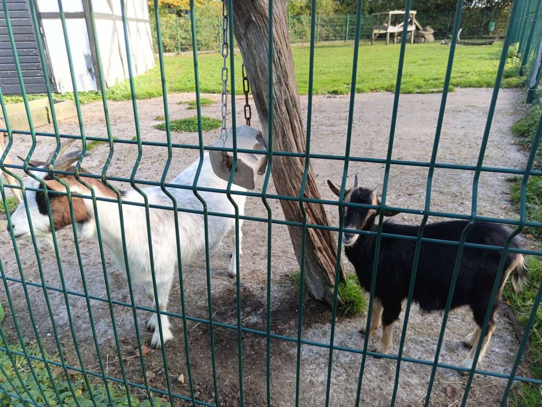 Ferienpark Buschhof — Photo 6