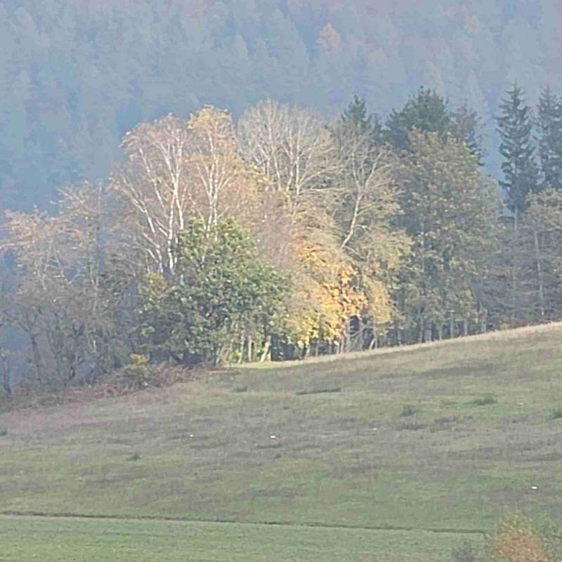 Stellplatz Obersinn — Photo 6