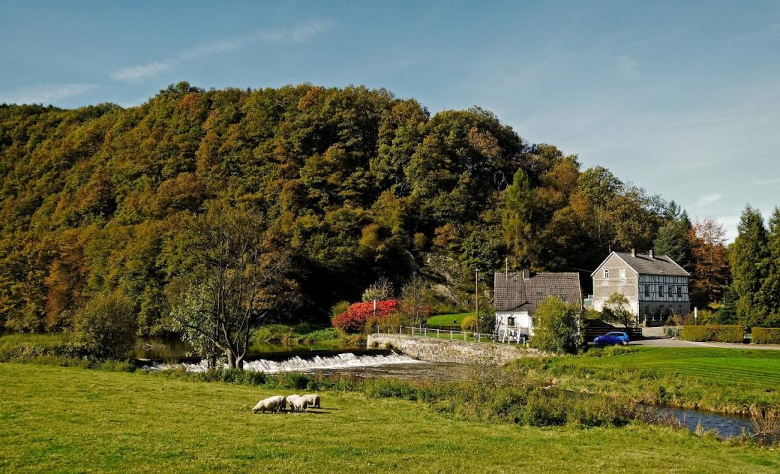 Camping Gaststätte Hahnhof — Campsite in Wissen