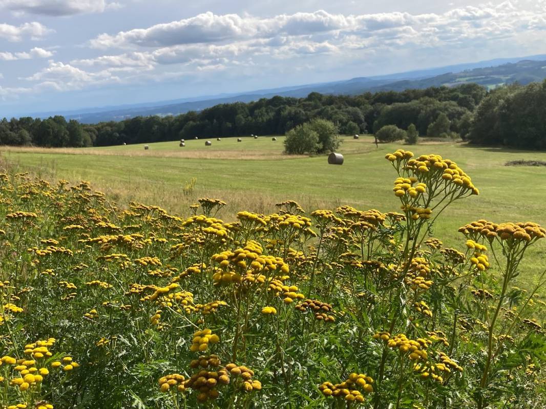Parkplatz am NaturFreundehaus — Photo 3