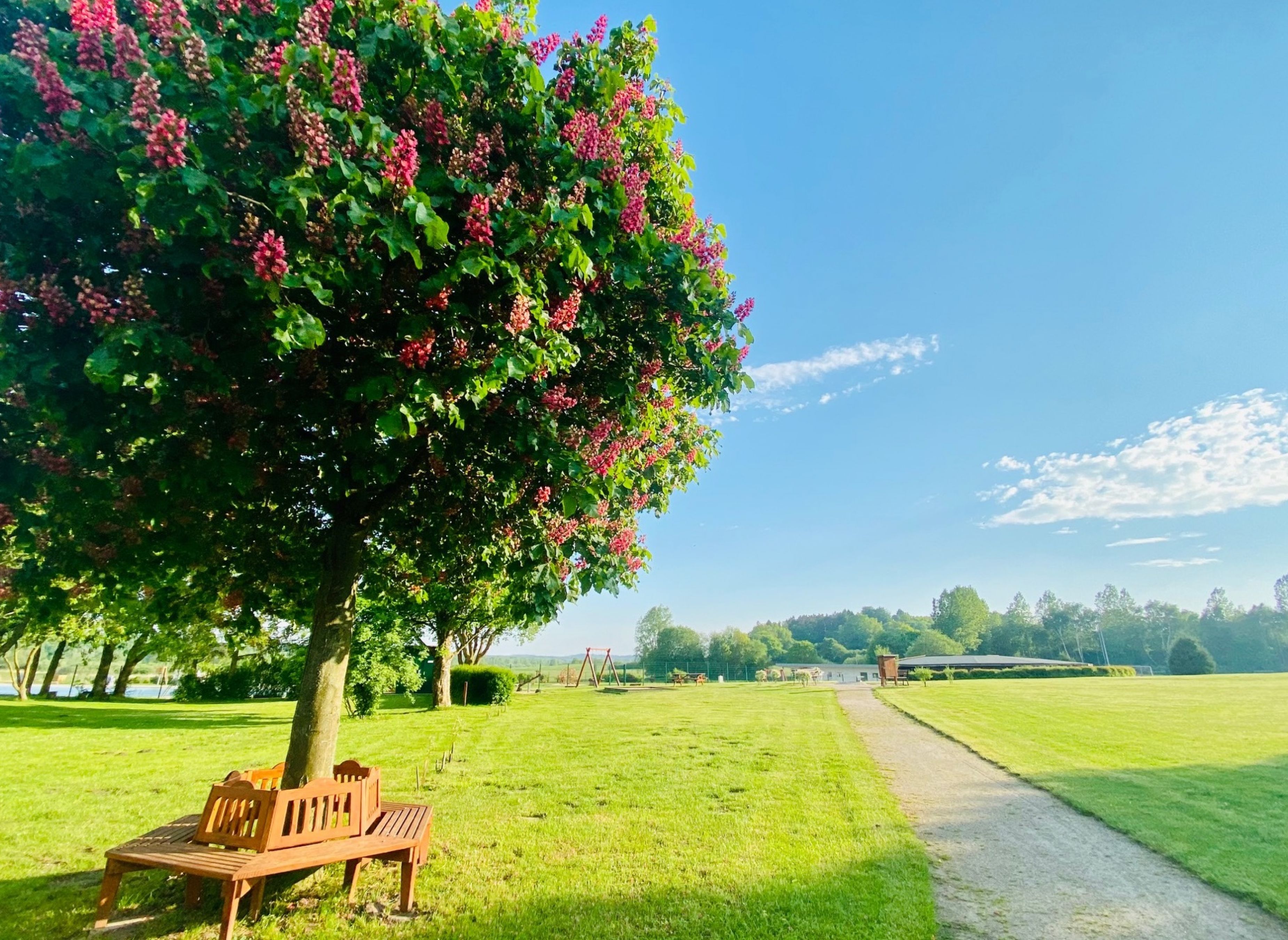 Stellplatz am Freizeit-Center — Photo 4