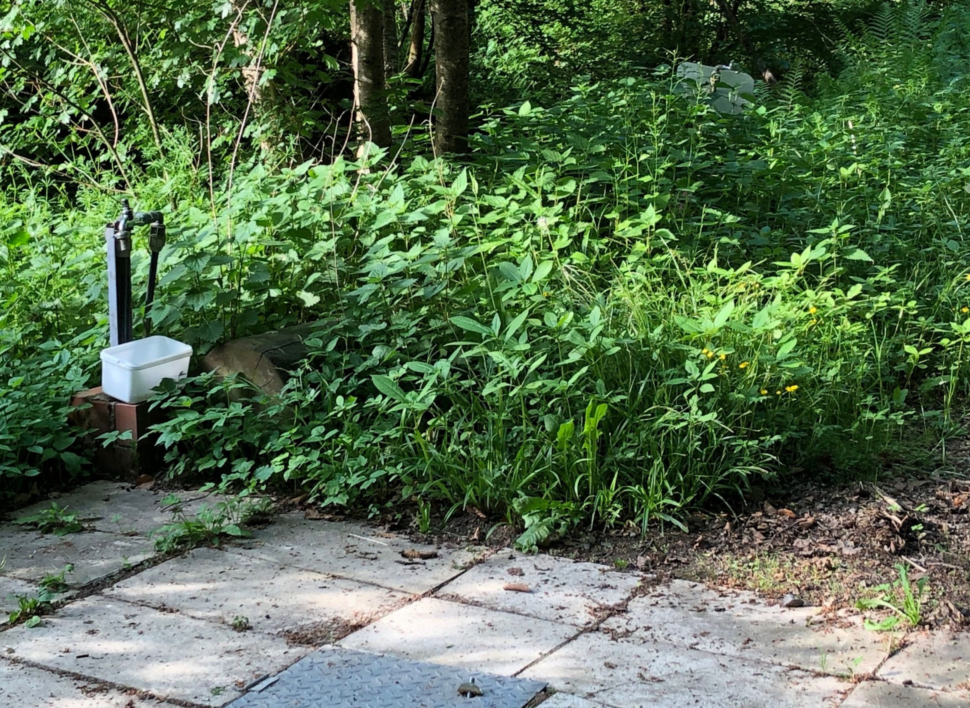 Stellplatz Mobilhafen Lohmar