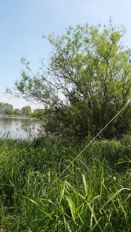 Campingplatz Reihersee — Photo 5