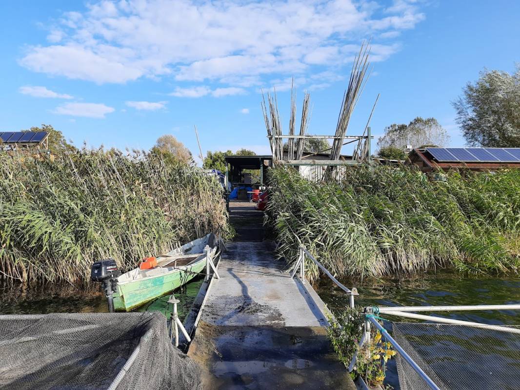 Stellplatz Fischerei Reimer — Photo 2