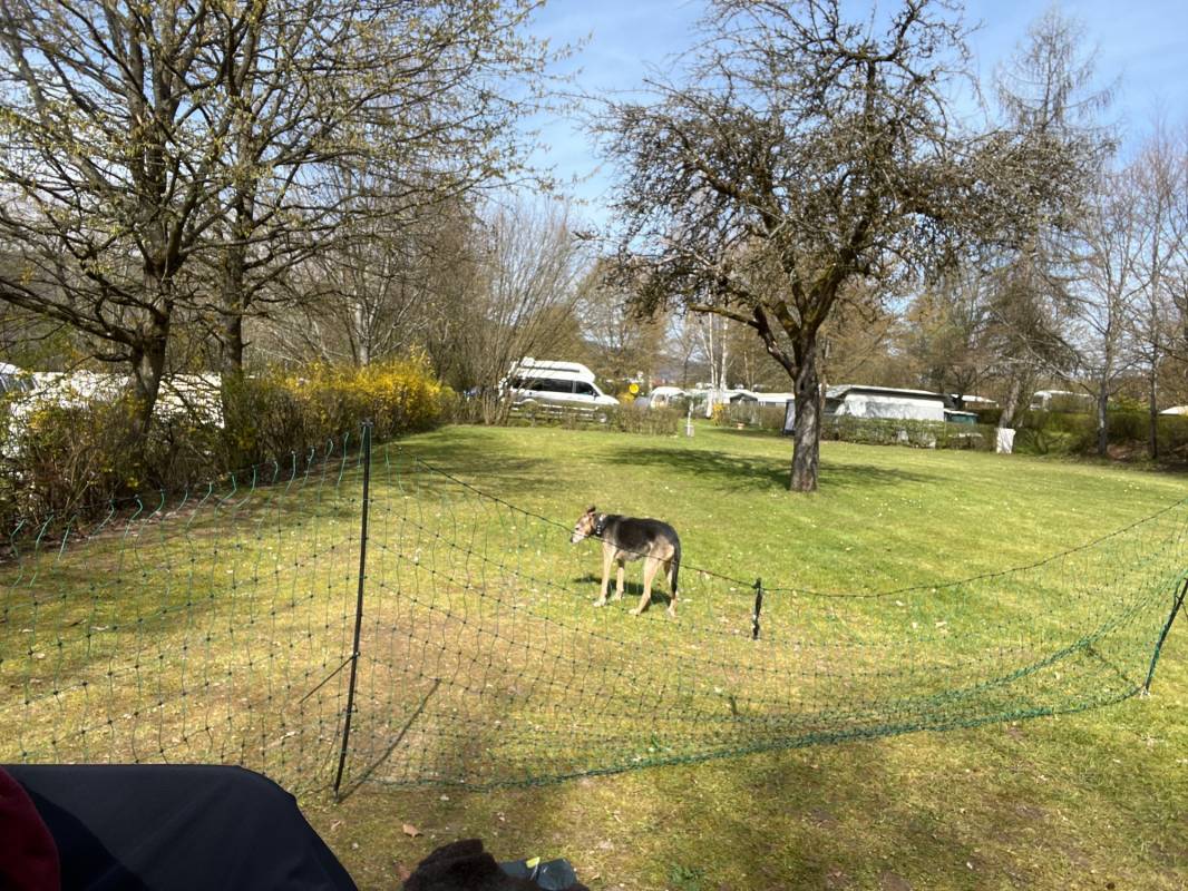 Spessart Camping Schönrain