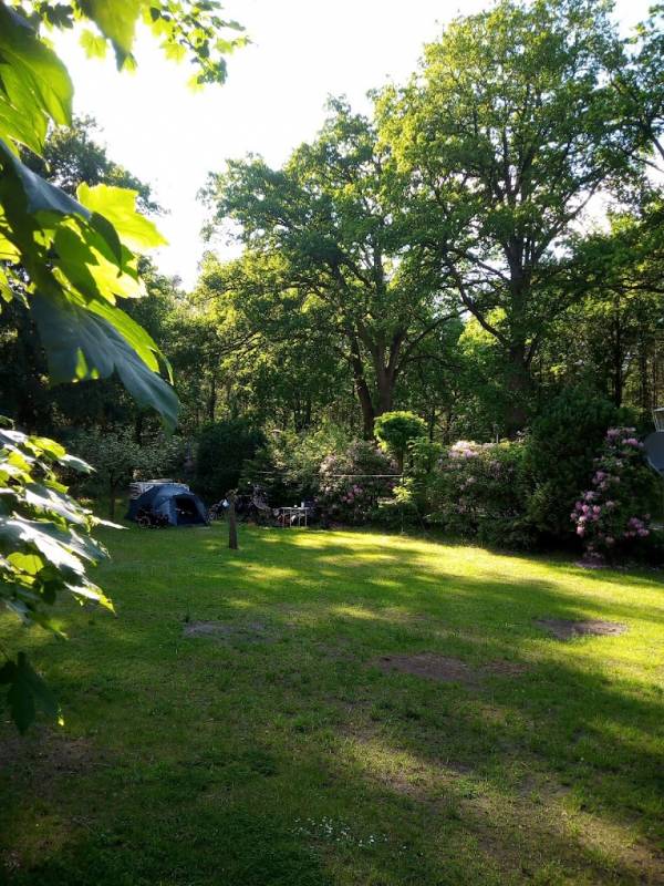 Campingplatz Gästehaus Hein — Photo 2