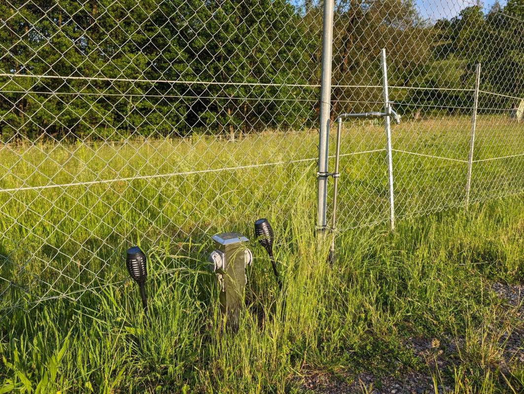 Stellplatz Eußerthal — Photo 4