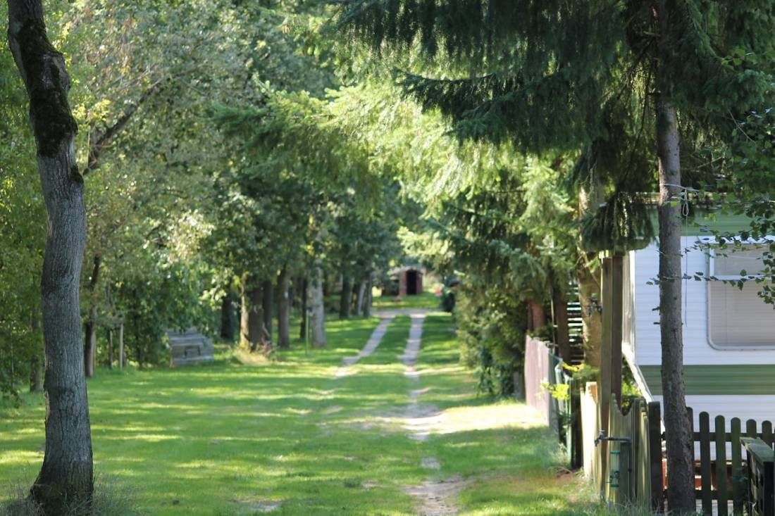 Camping-Tunxdorfer-Berge — Photo 2