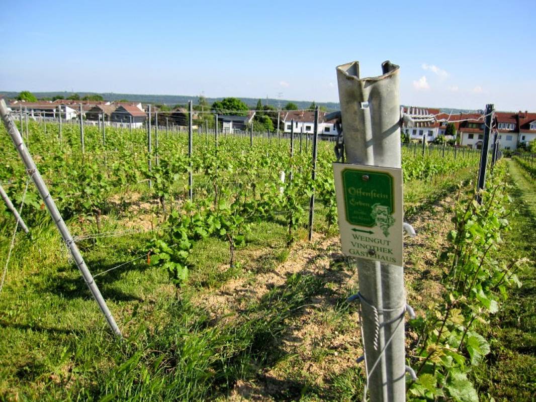 Wohnmobil Stellplatz Offenstein Erben — Photo 2