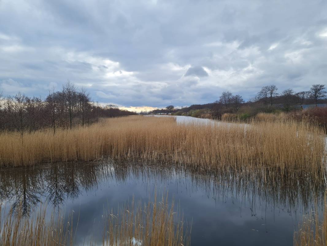 Ostseecamping-Gut Karlsminde — Photo 6