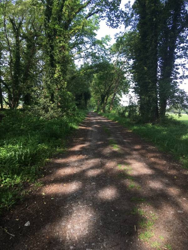 Freizeit- und Tagungszentrum — Photo 2