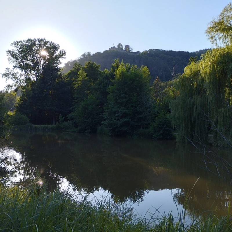 Stellplatz Klingenmünster — Photo 5