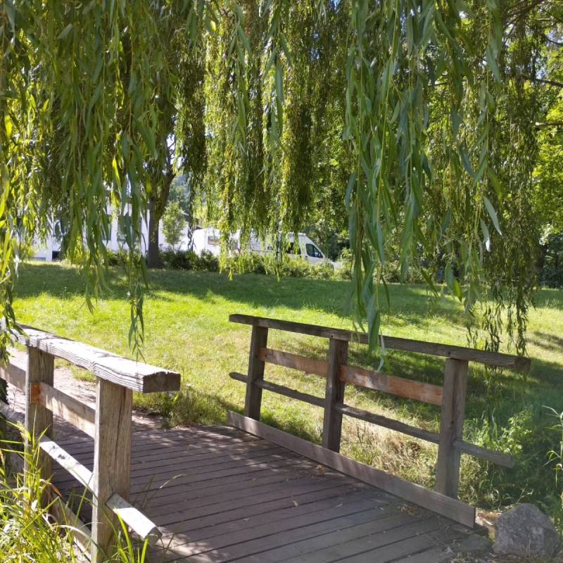 Stellplatz Klingenmünster — Photo 2