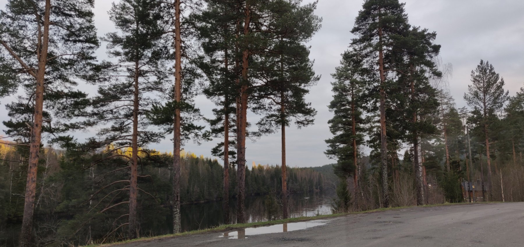 Stellplatz  Burgruine Wallenstei