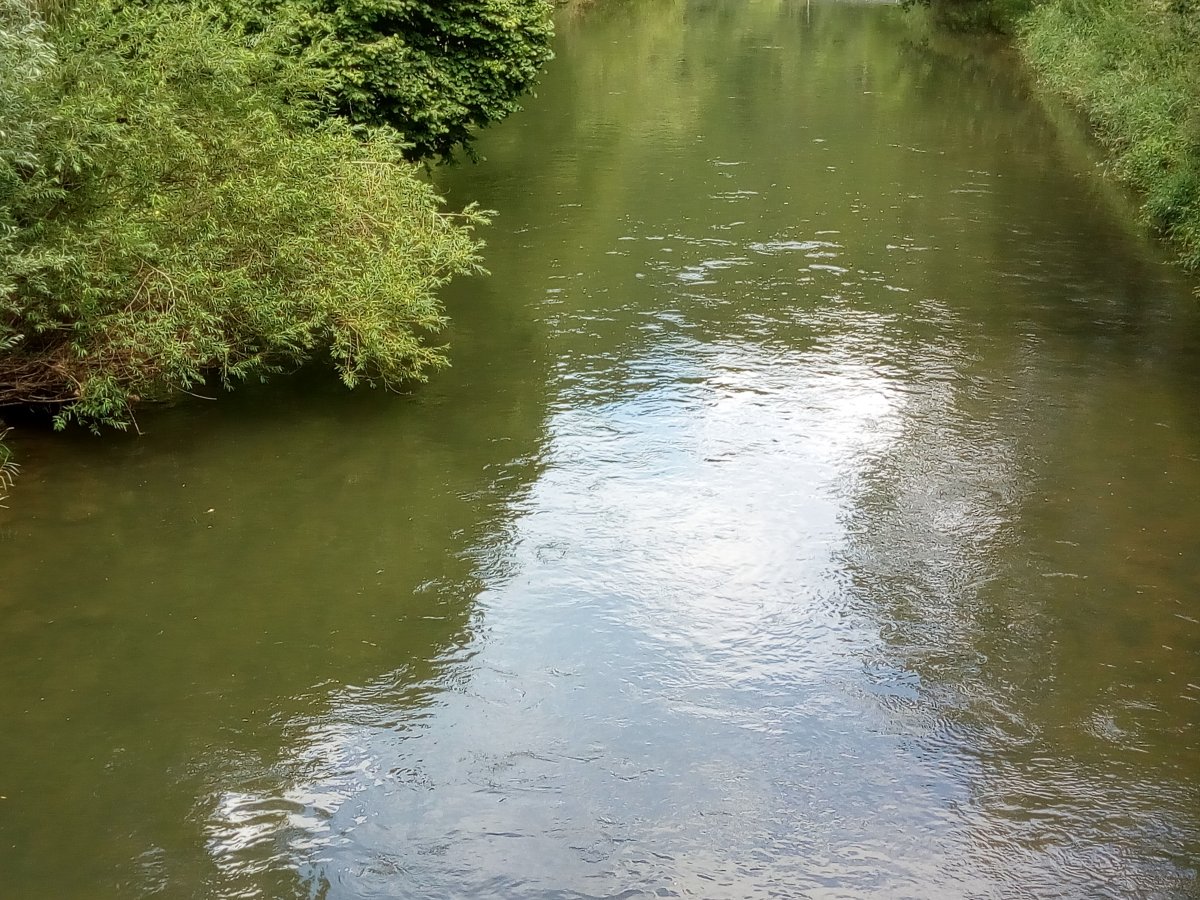 Stellplatz am Kloster Beuron — Photo 3