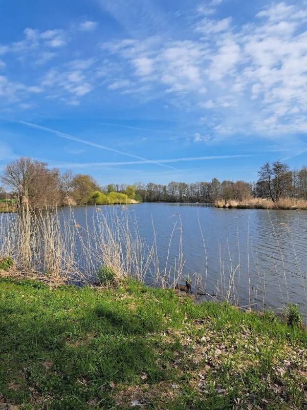 Campingplatz Camp am Waldesrand