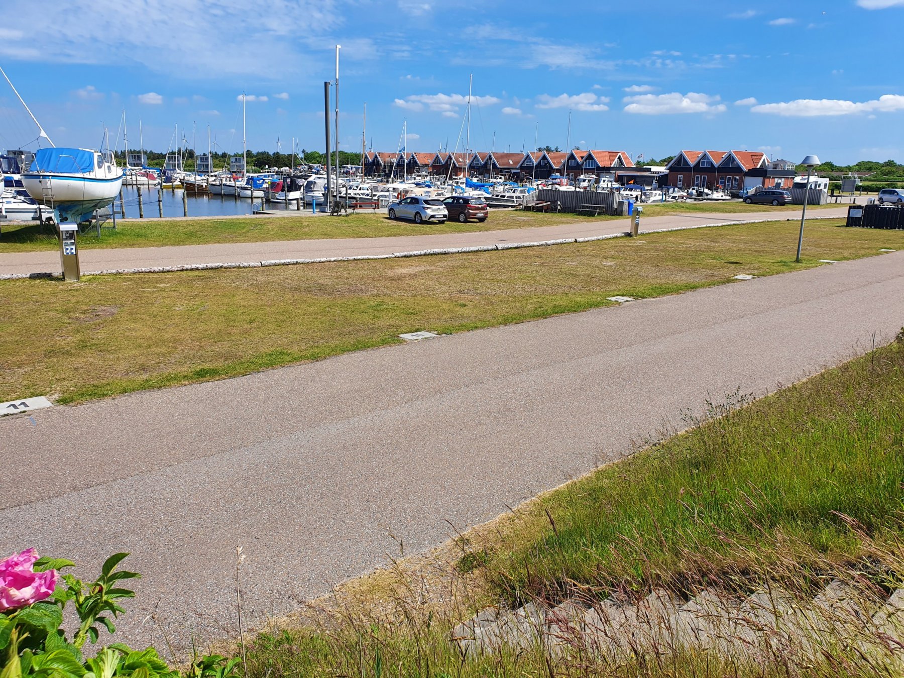 Stellplatz Børk Havn — Photo 3