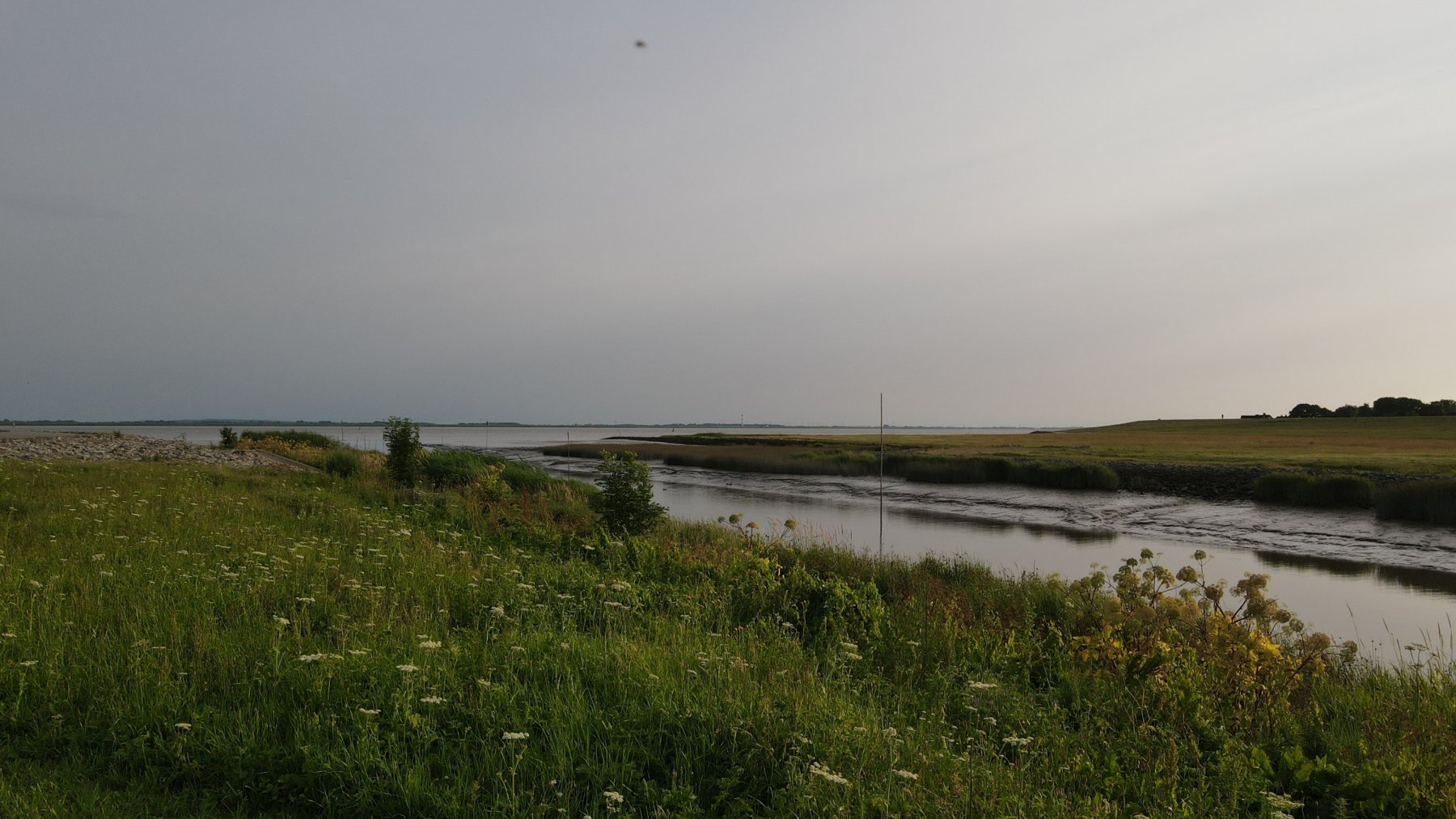 Seglervereinigung Brunsbüttel