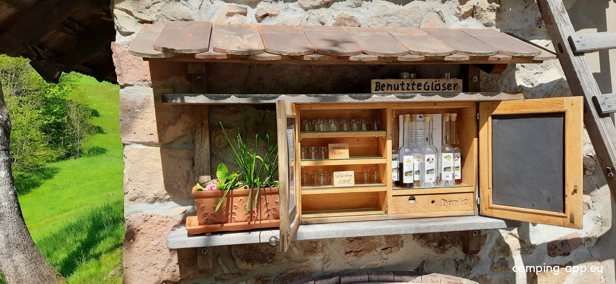 Stellplatz Nordrach — Photo 4