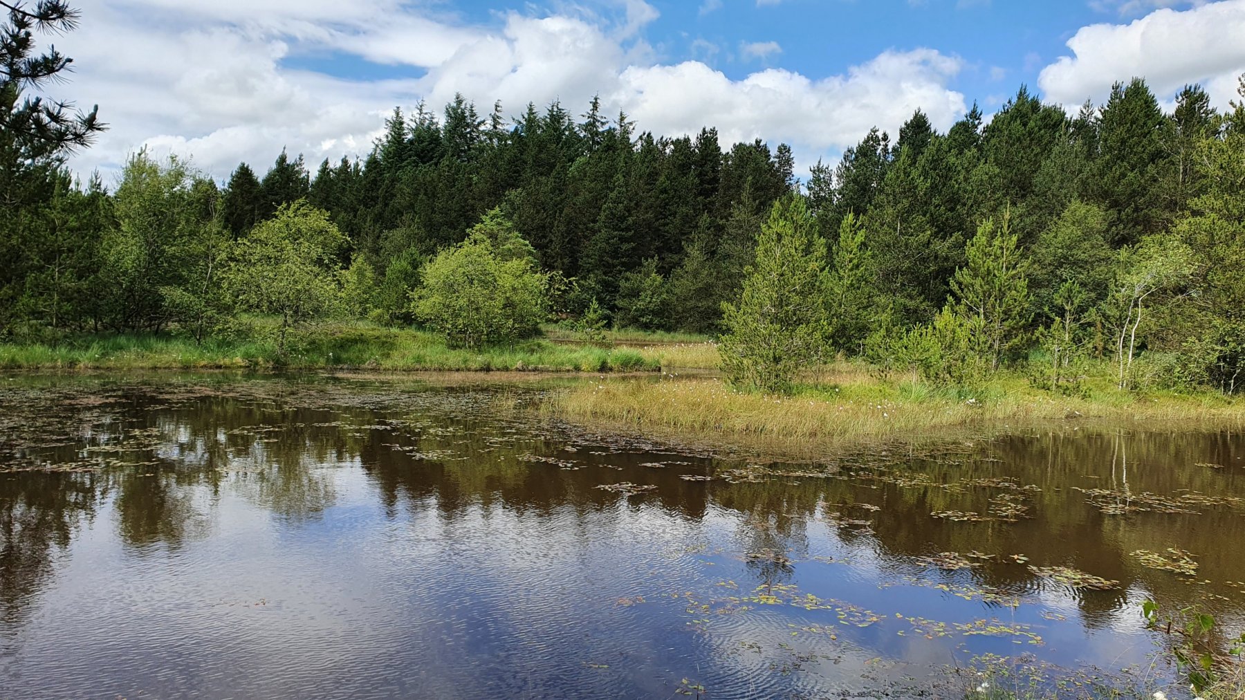 Bjerrely Fiskesø — Photo 3