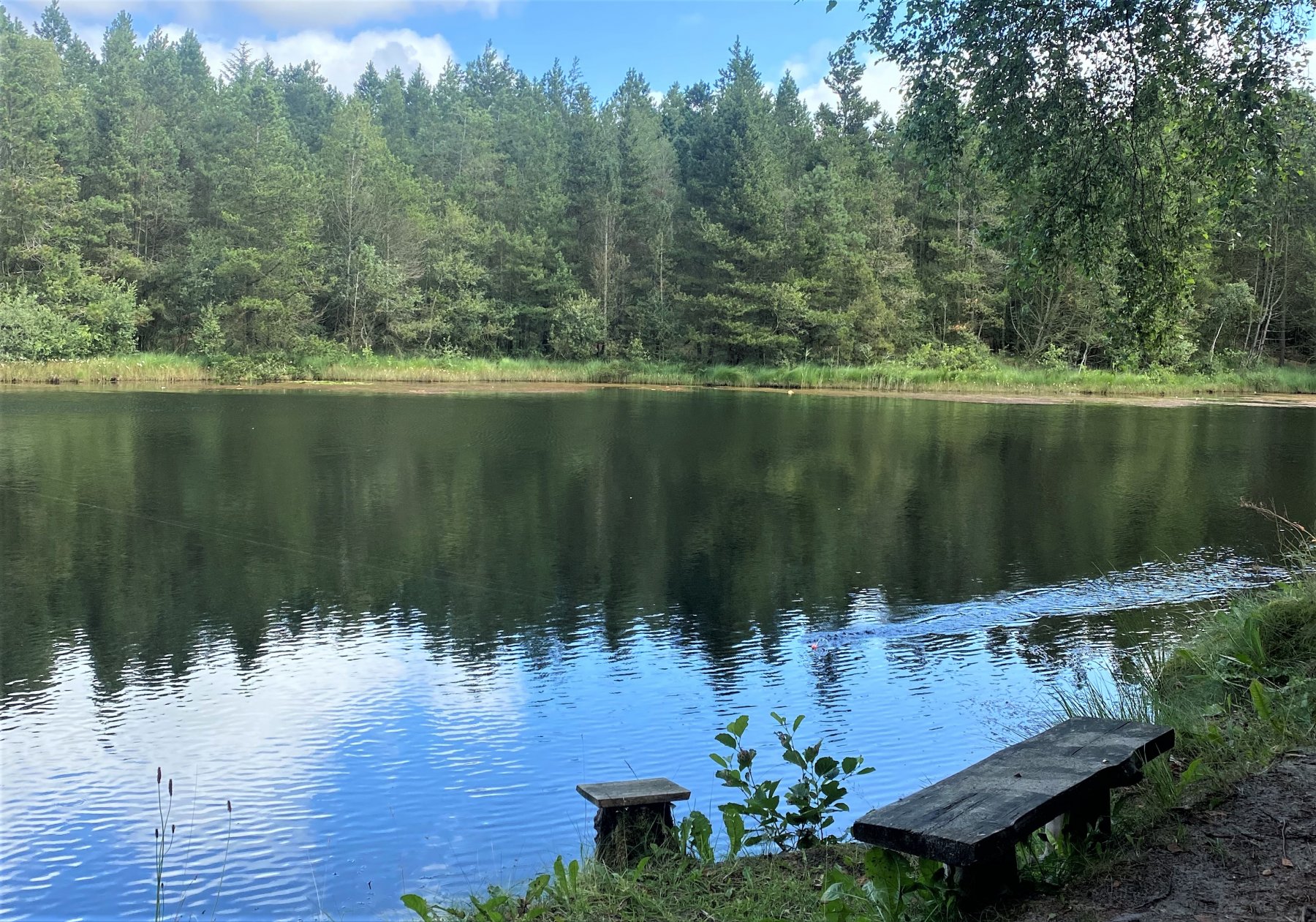 Bjerrely Fiskesø — Photo 4