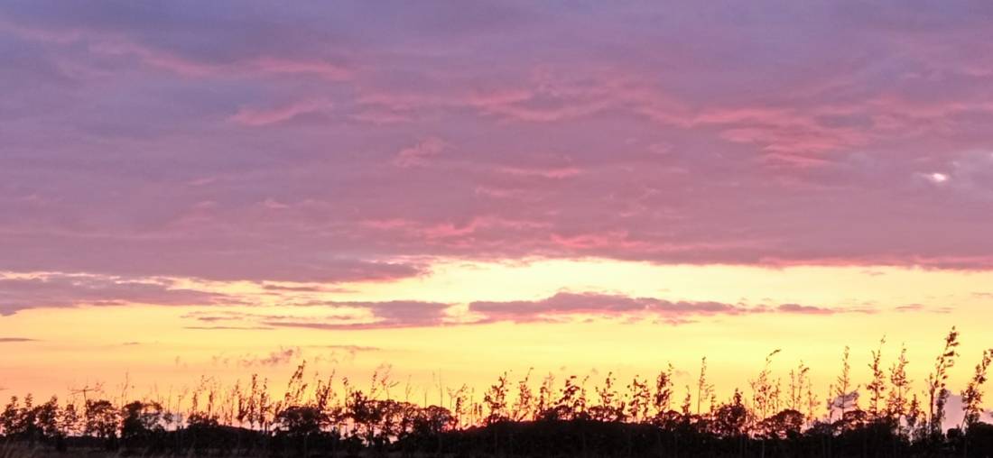 Campingplatz Haidhof